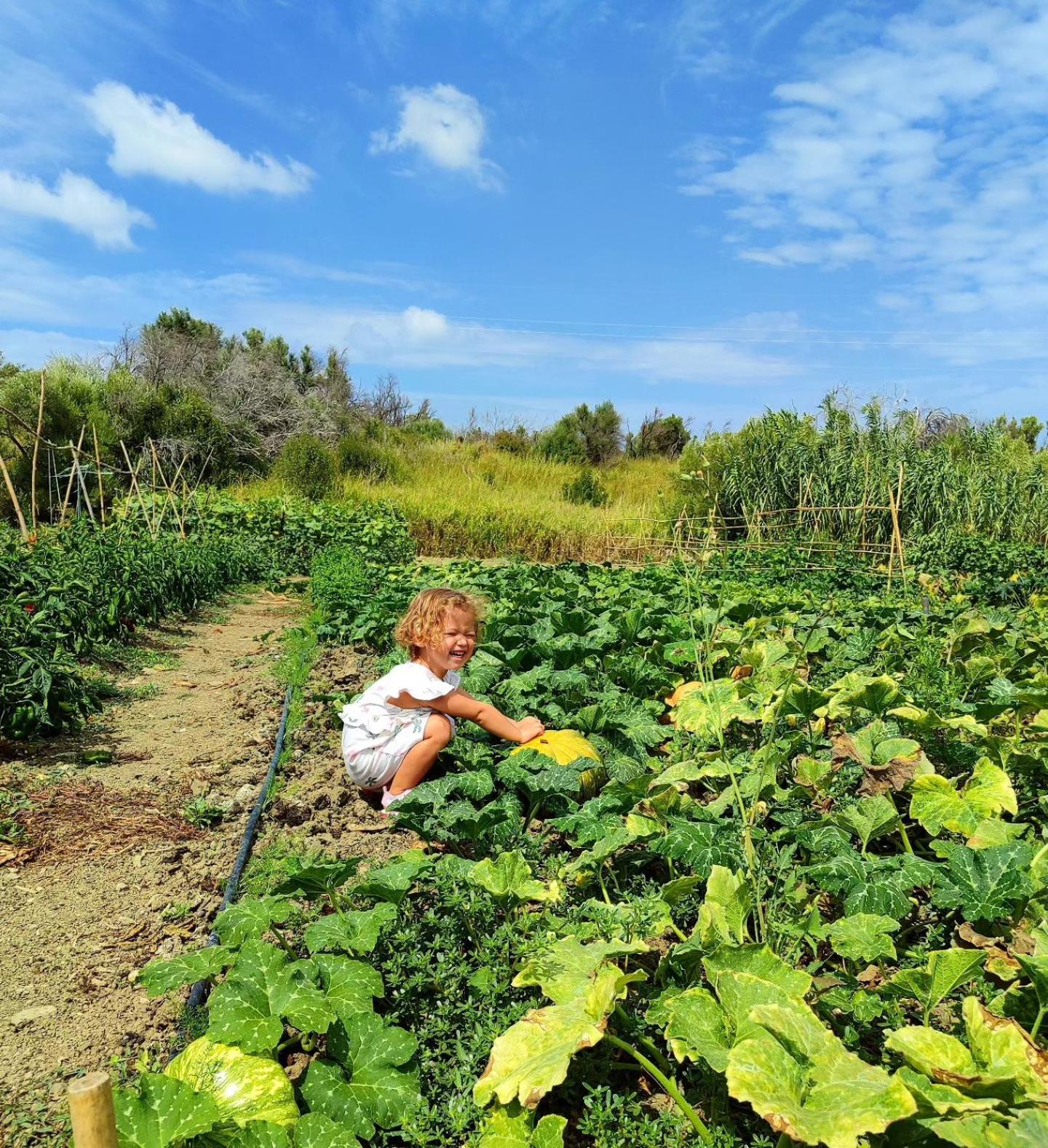 Agriturismo Le Campanelle - Sicilia - Cefalu Villa Lascari Luaran gambar